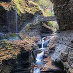 Watkins Glen State Park