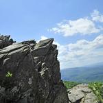 Local Hikes