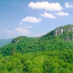 Pisgah National Forest