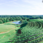 Montaluce Winery and Restaurant