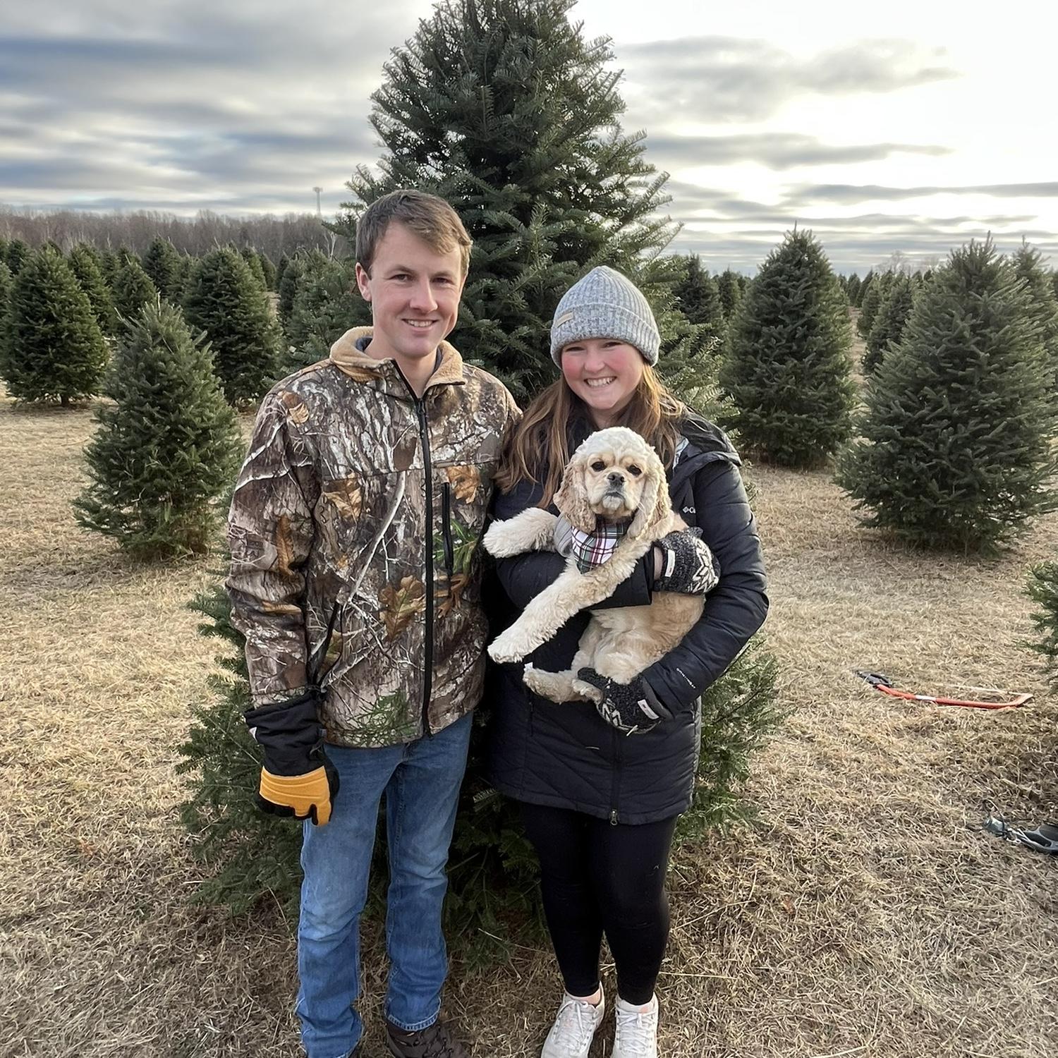 Getting our first real Christmas tree🎄