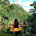 Hugh Taylor Birch State Park