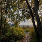 The Peach Preserve Trail