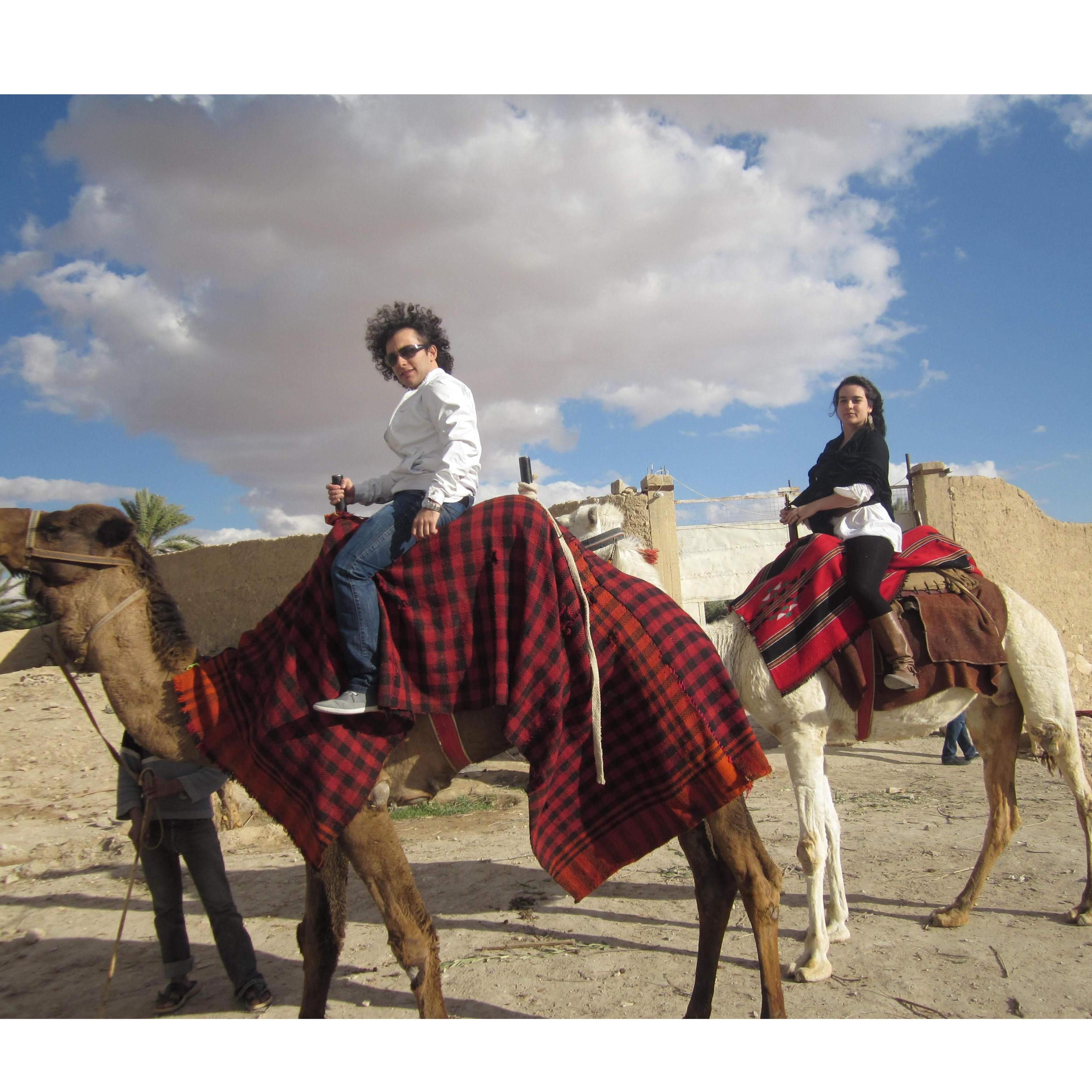 March 1st, 2011. Palmyra, Syria