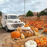 Goff Family Pumpkin Patch