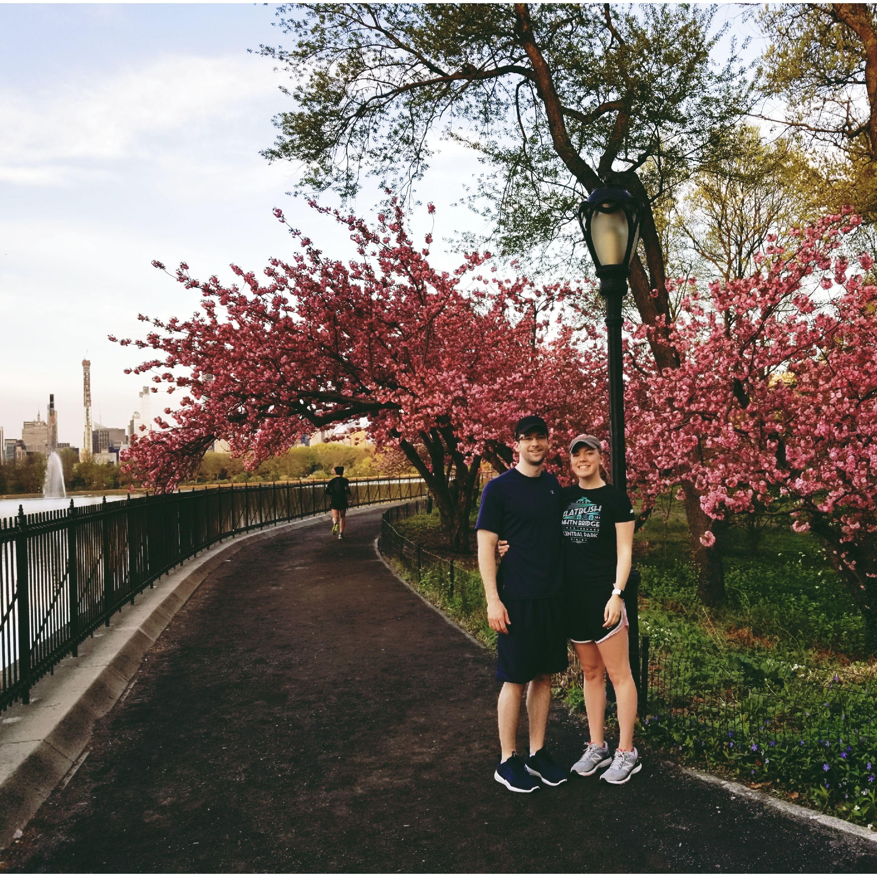 Going for a run in Central Park to see the Cherry Blossoms Spring 2019!