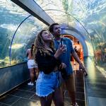 Acuario de Santa Marta