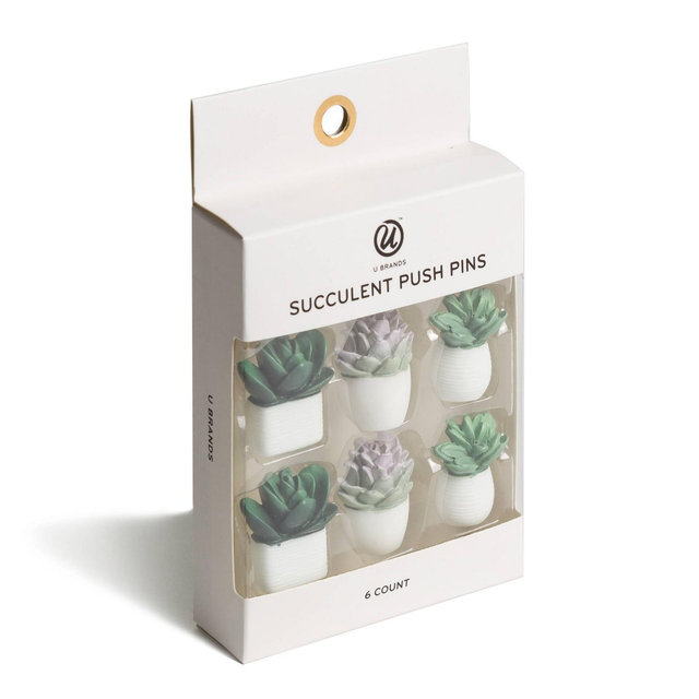 6ct Succulent Push Pins - U-Brands