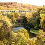 Schenley Park