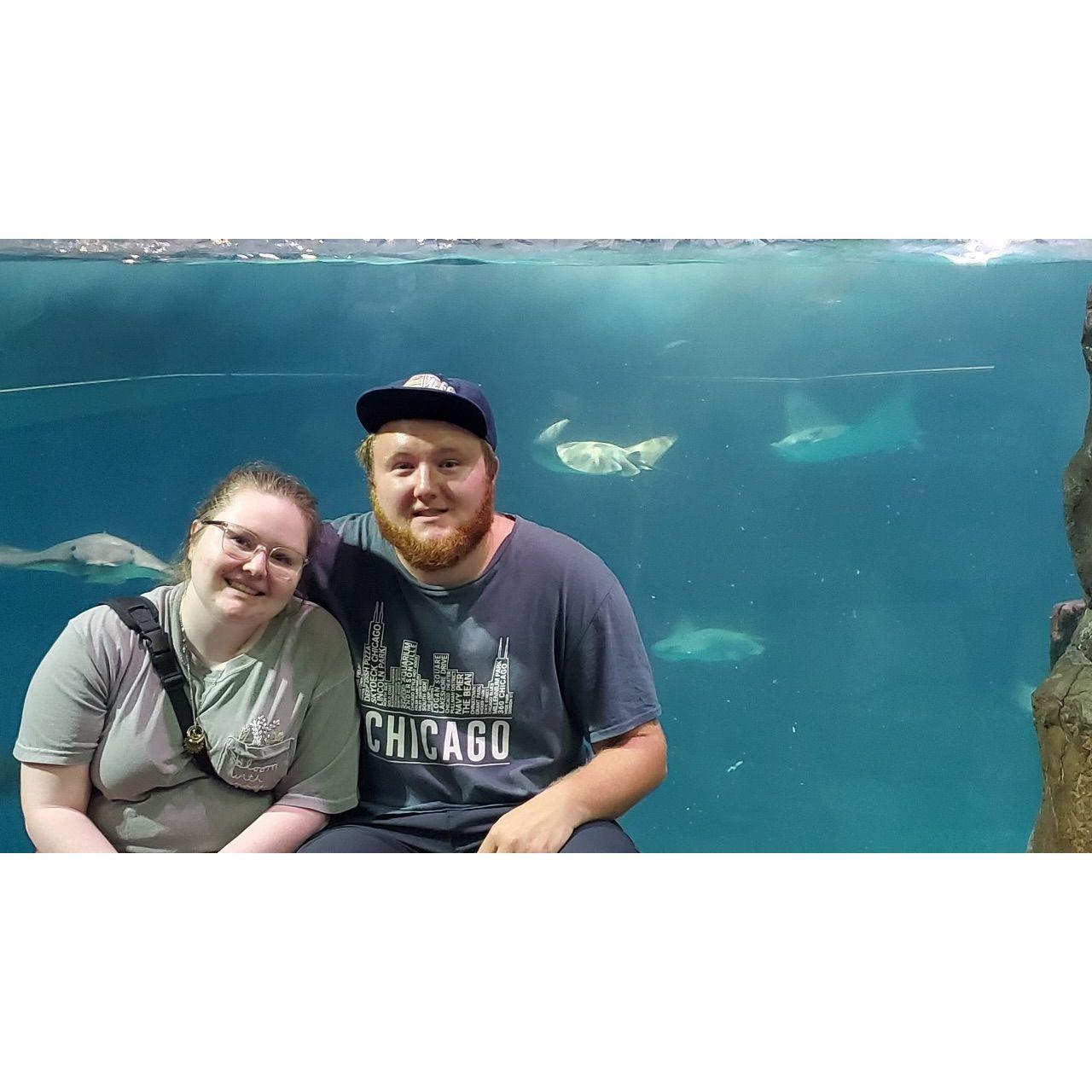Ripley's Aquarium, Tennessee 2022