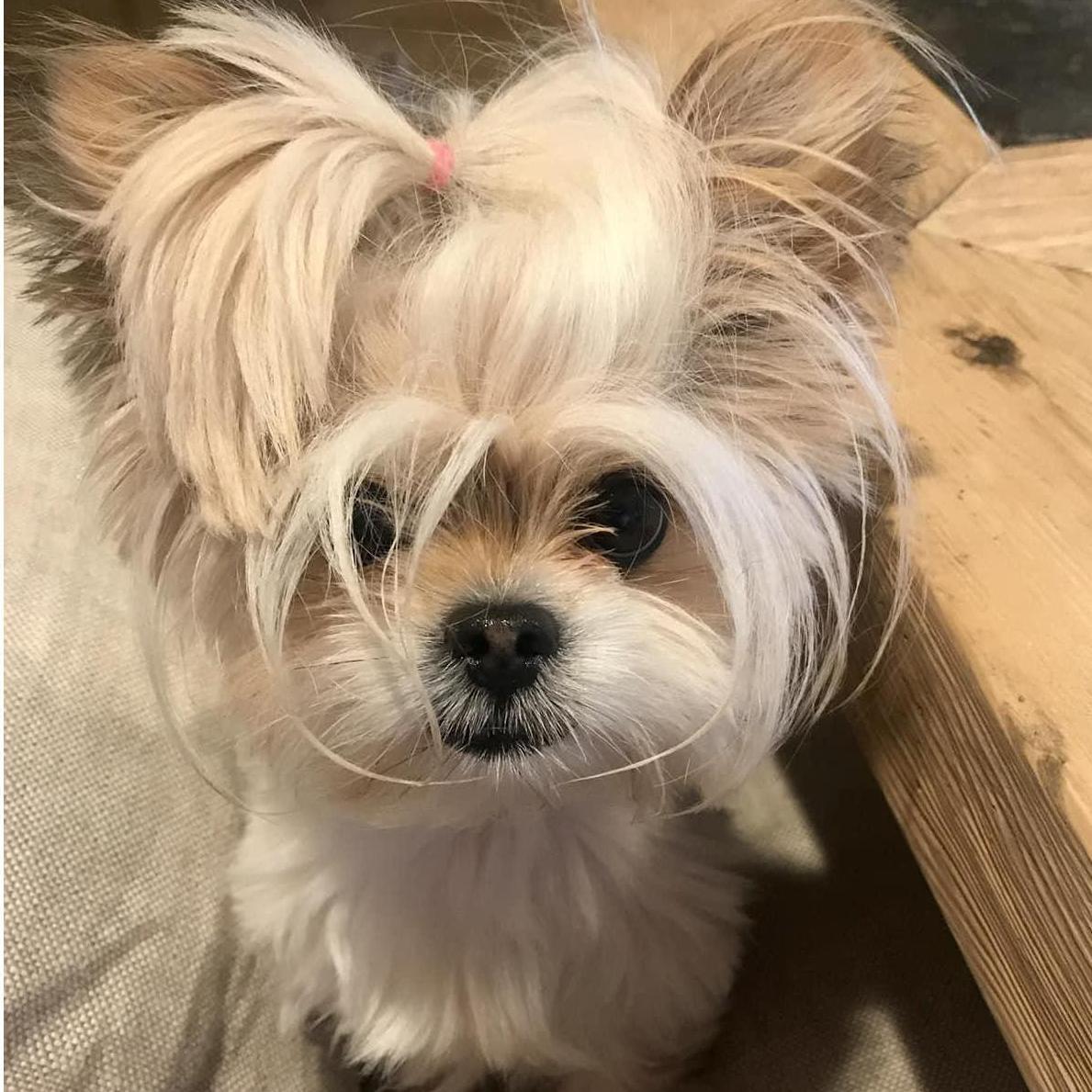BeBe with Morning Bed Hair