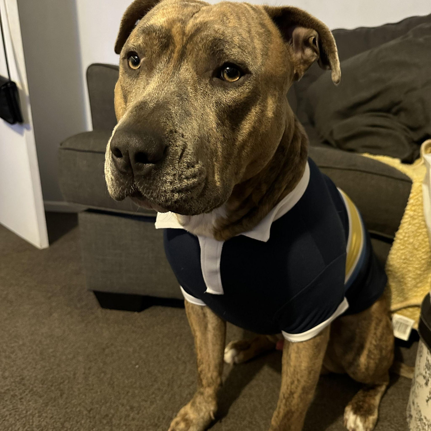 Our First Son