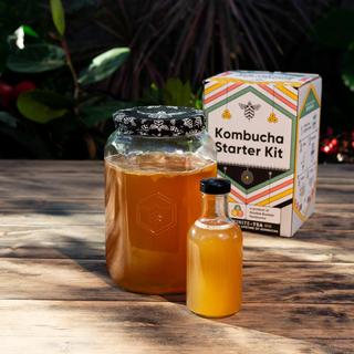 Kombucha Starter Kit