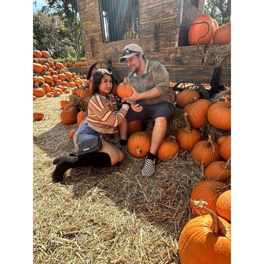 Halloween festivities together.
