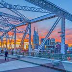 The Pedestrian Bridge