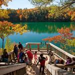 Gatineau Park
