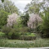 Prospect Park