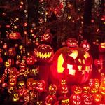 Jack O'Lantern Spectacular