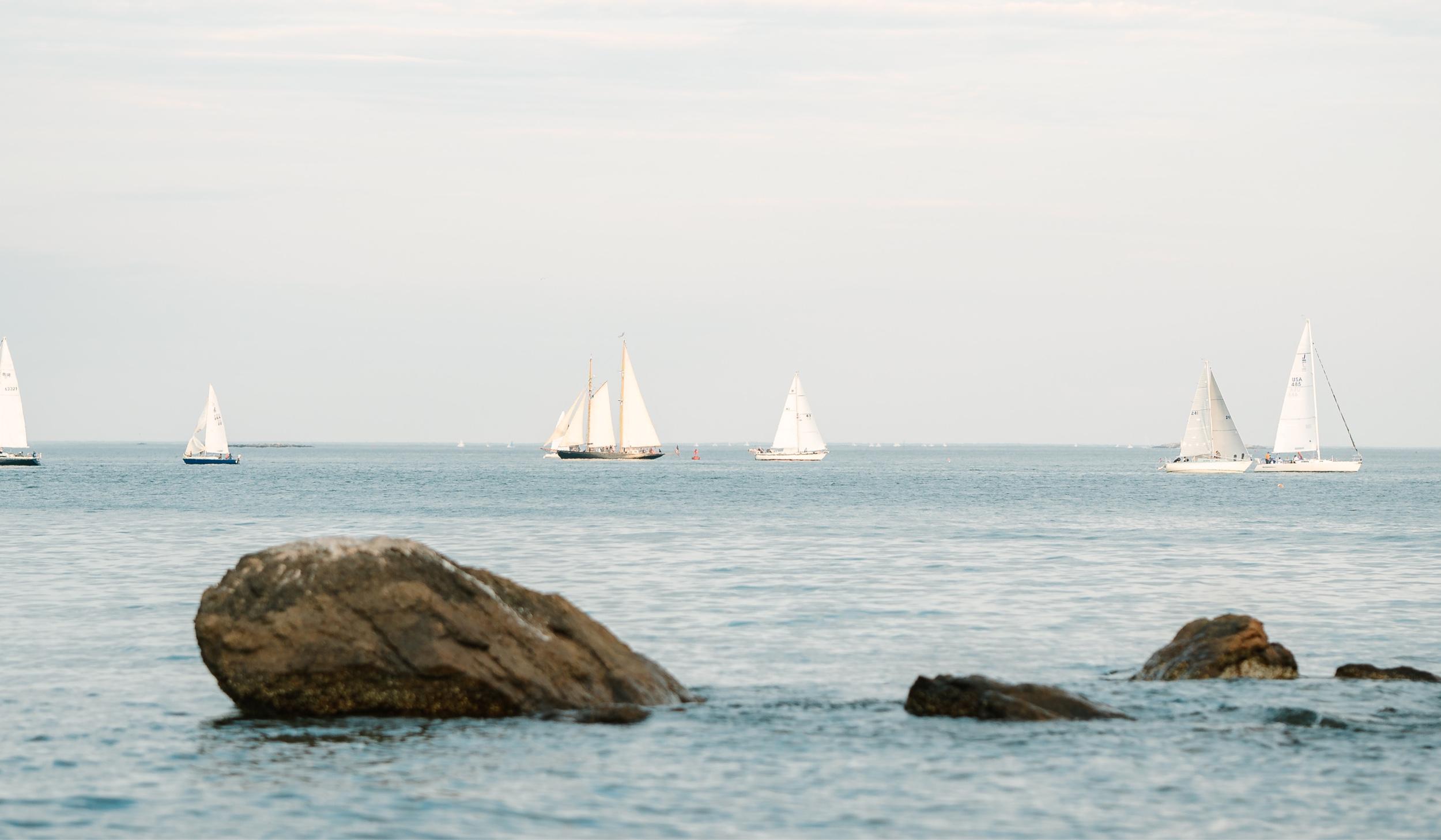 The Wedding Website of Gina Sherman and Michael Casciano