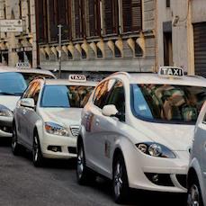 Taxi and bus transportation