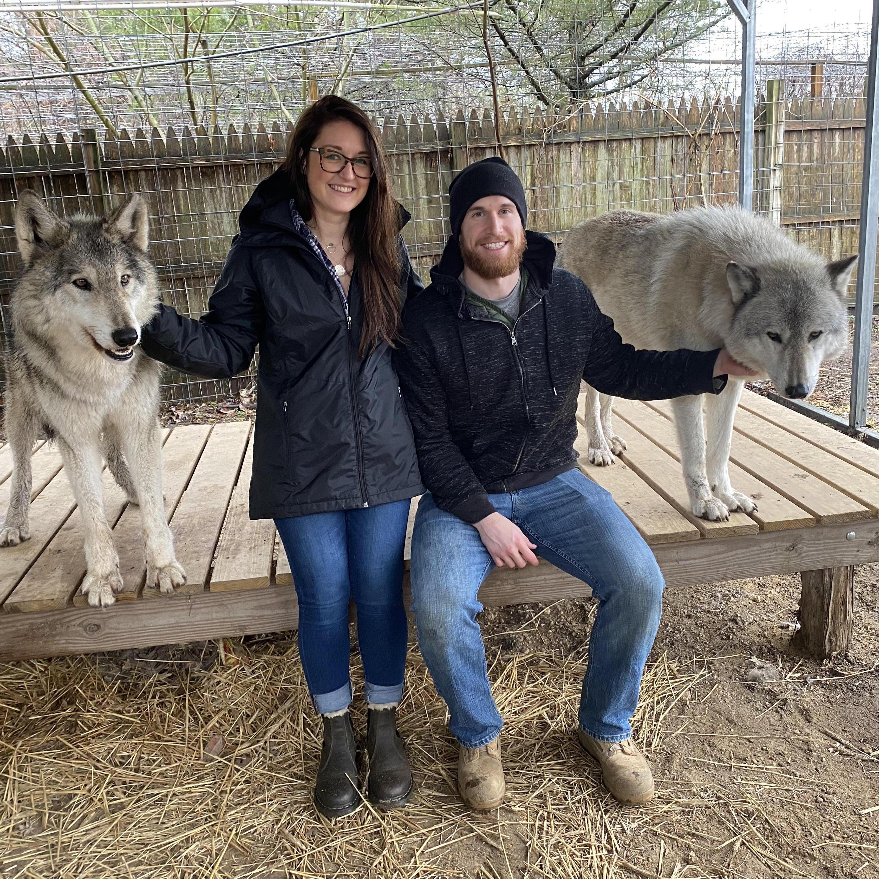 Finding our pack at Howling Woods Farms.