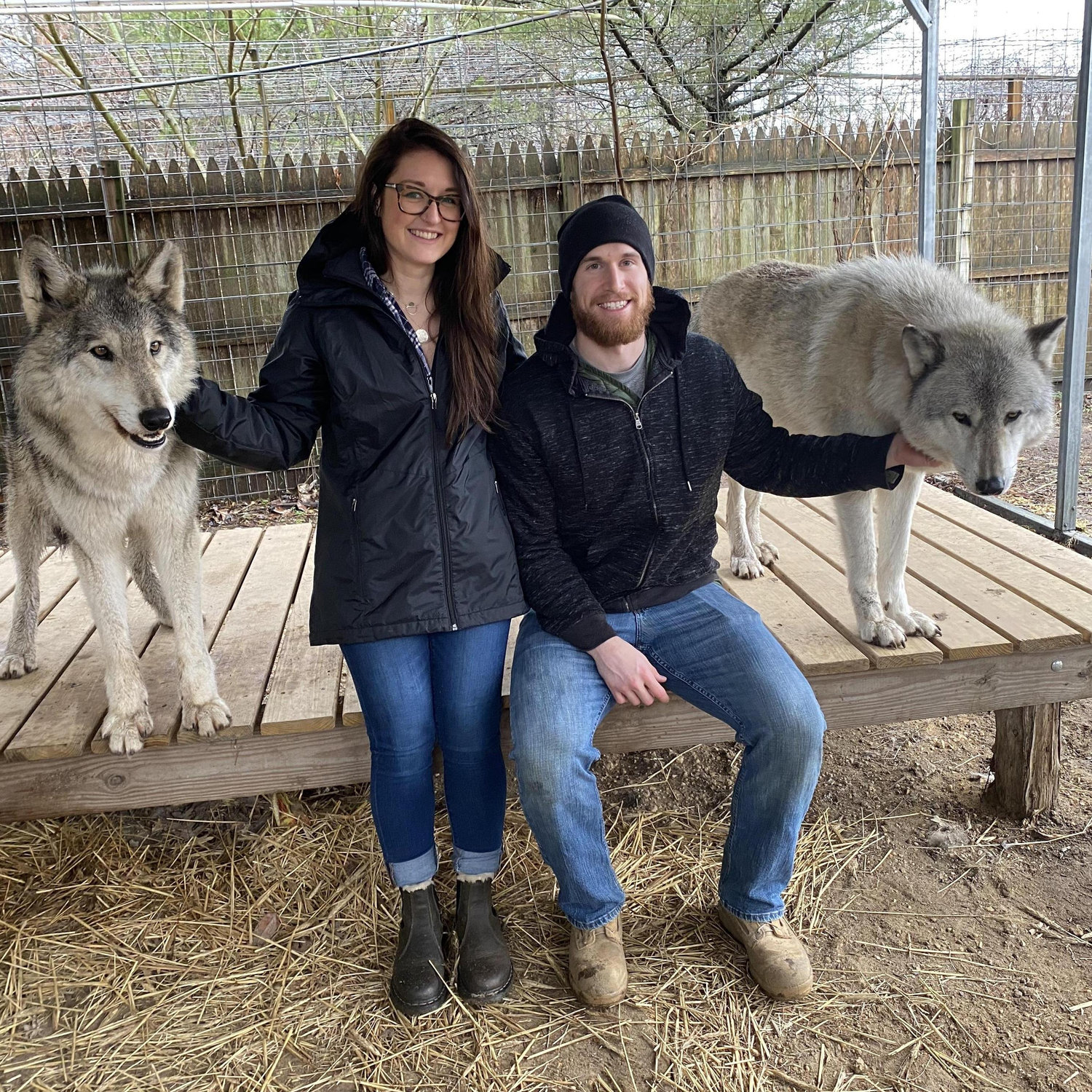 Finding our pack at Howling Woods Farms.