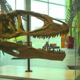 Science Center of Iowa