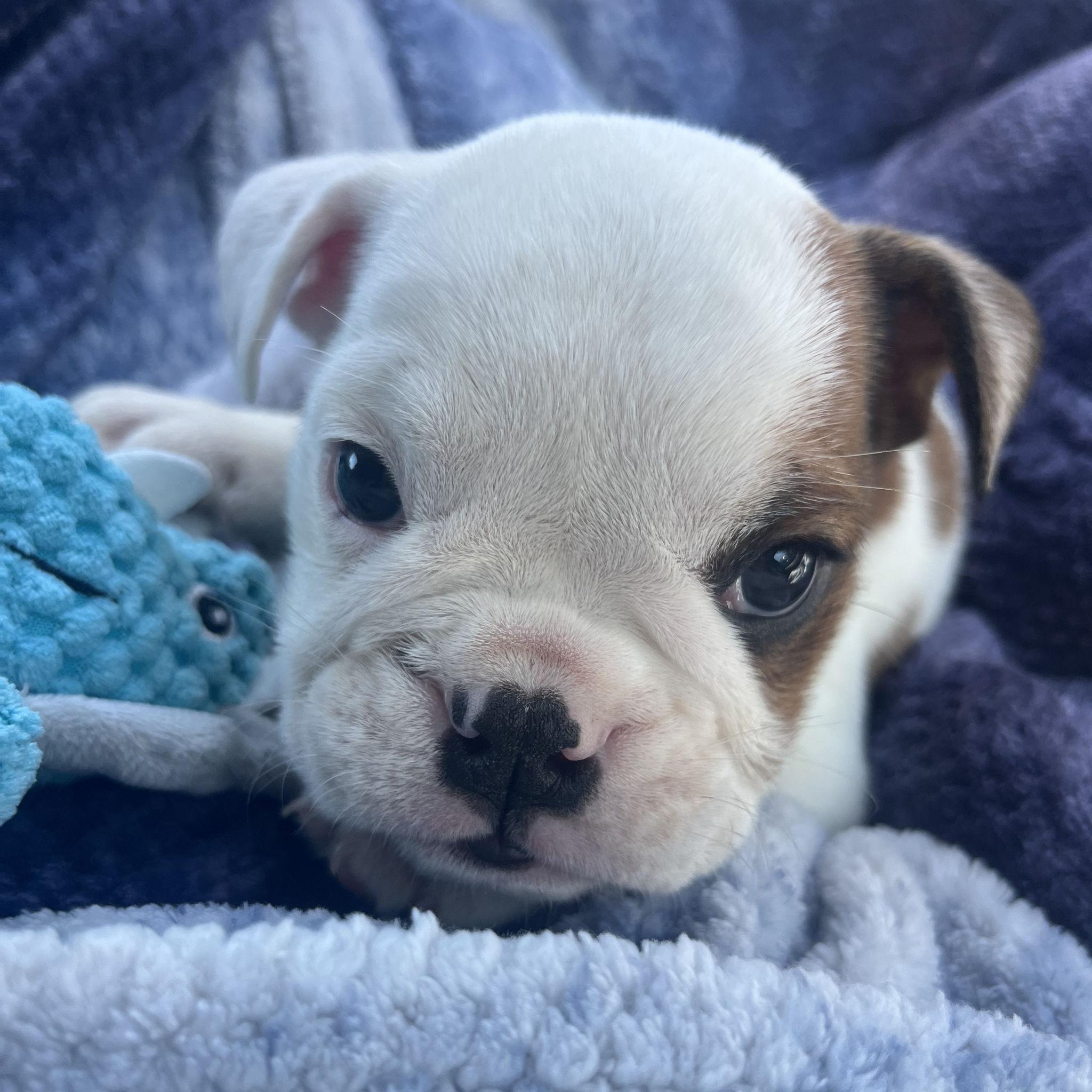 From the day that we got our son.