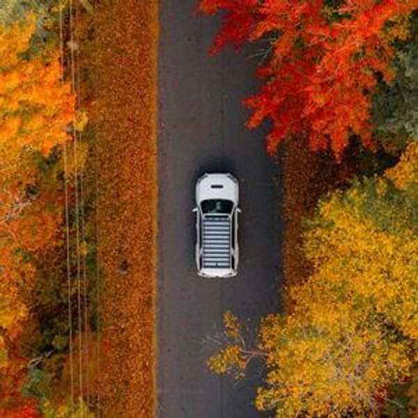 Rental Car