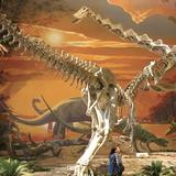 New Mexico Museum of Natural History and Science