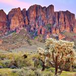 Lost Dutchman State Park