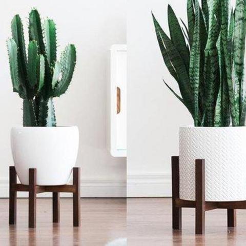 Mid Century Modern Plant Stand with Square Legs