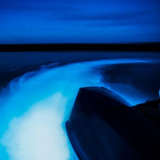 Luminous Lagoon Honeymoon Experience Jamaica