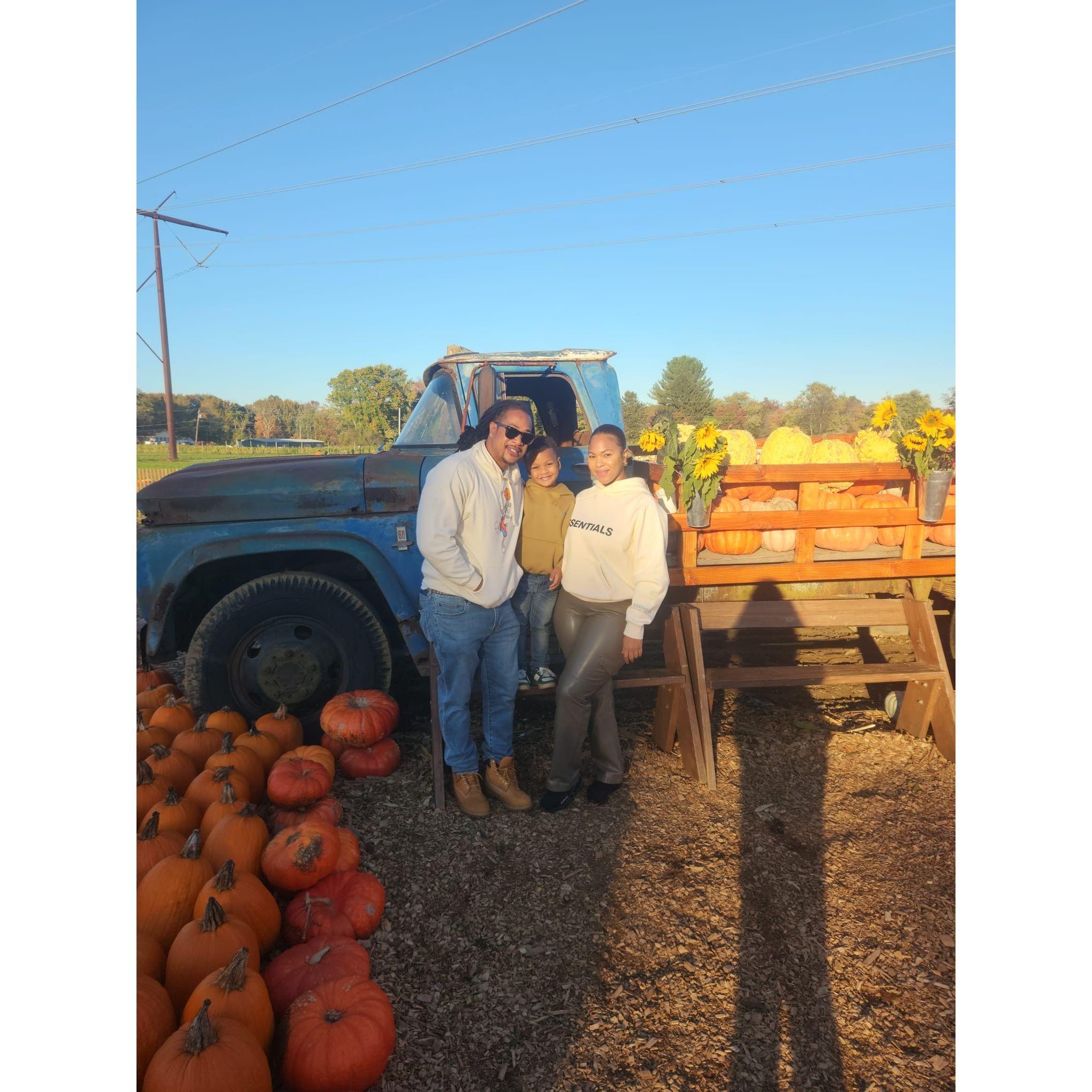 Annual Pumpkin Picking !