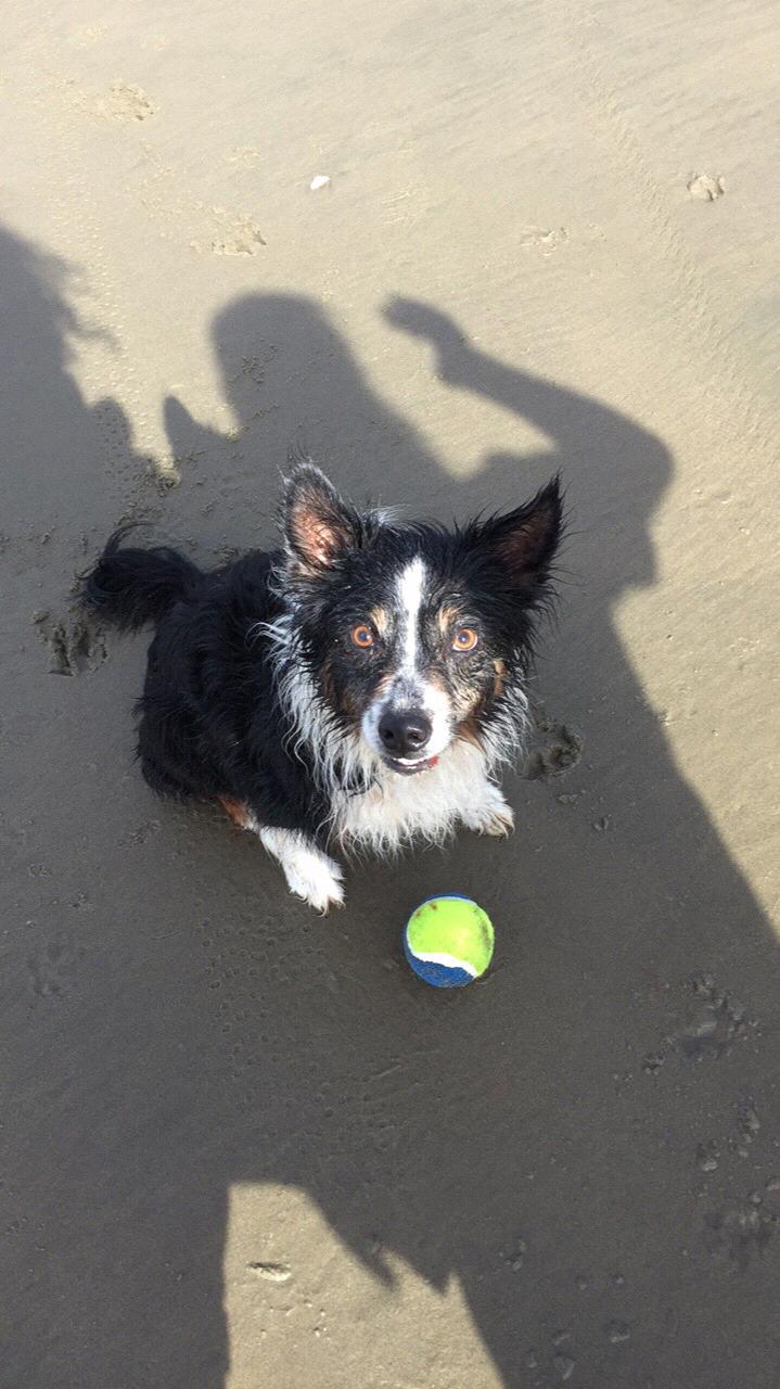 Talen...our 11 year old best friend