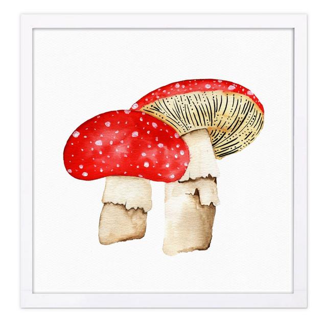 Mushrooms 13-Inch Square Framed Wall Art