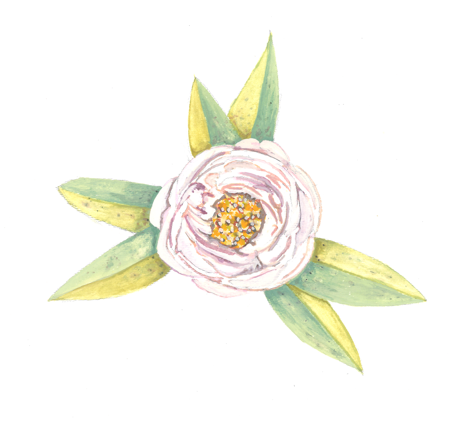 The Wedding Website of Emily Johnson and John Beaty