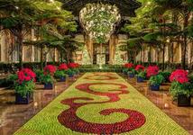 Longwood Gardens (Near bus parking area)
