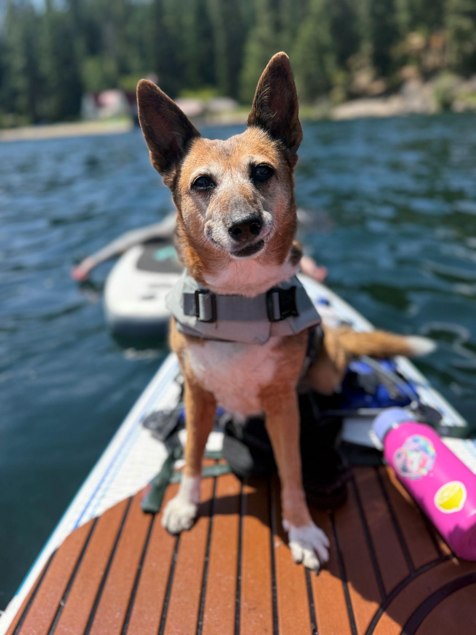 The Wedding Website of Kylie Snow and Beck Roan