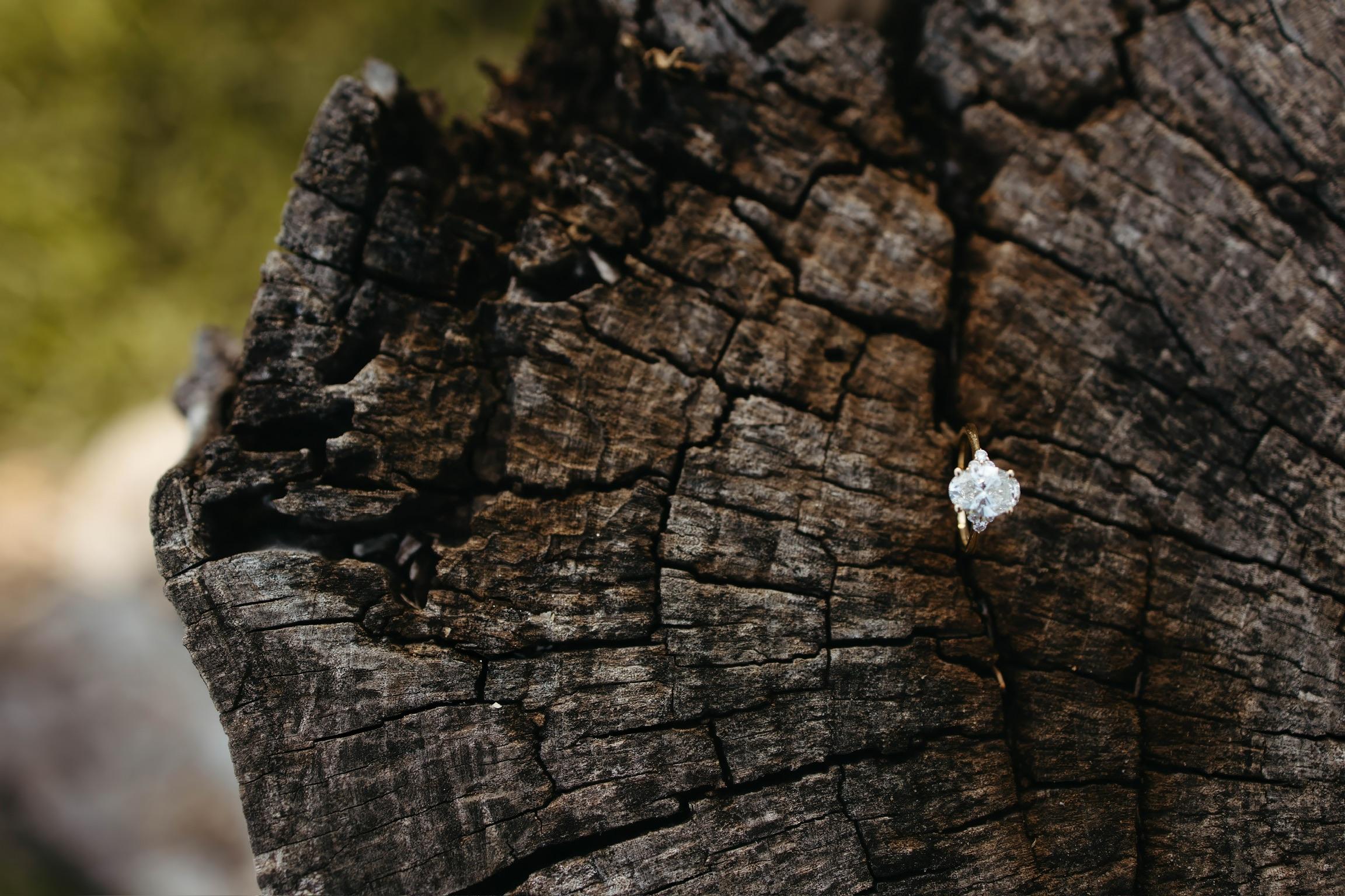 cd5ee107-bf5d-41b5-abbc-c7556a6dcaff