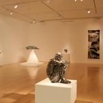 Palm Springs Art Museum