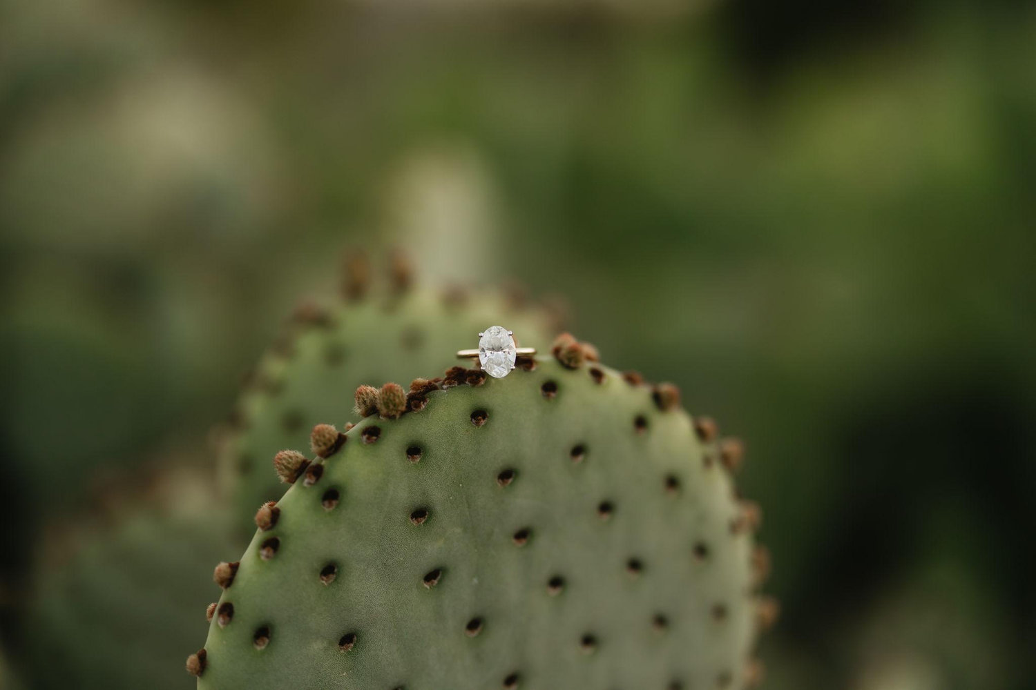 The Wedding Website of Abel Aldape and McKenna Cave