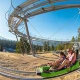 Alpine Slide at Magic Mountain