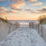 Newport's Finest Beaches