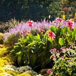 Cheekwood Estate and Gardens