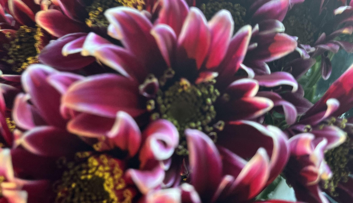 The Wedding Website of Christine Billett and Nicholas Camacho