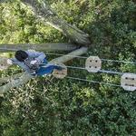 Go Ape Zipline & Adventure Park