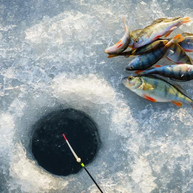 Ice Fishing in Anchorage