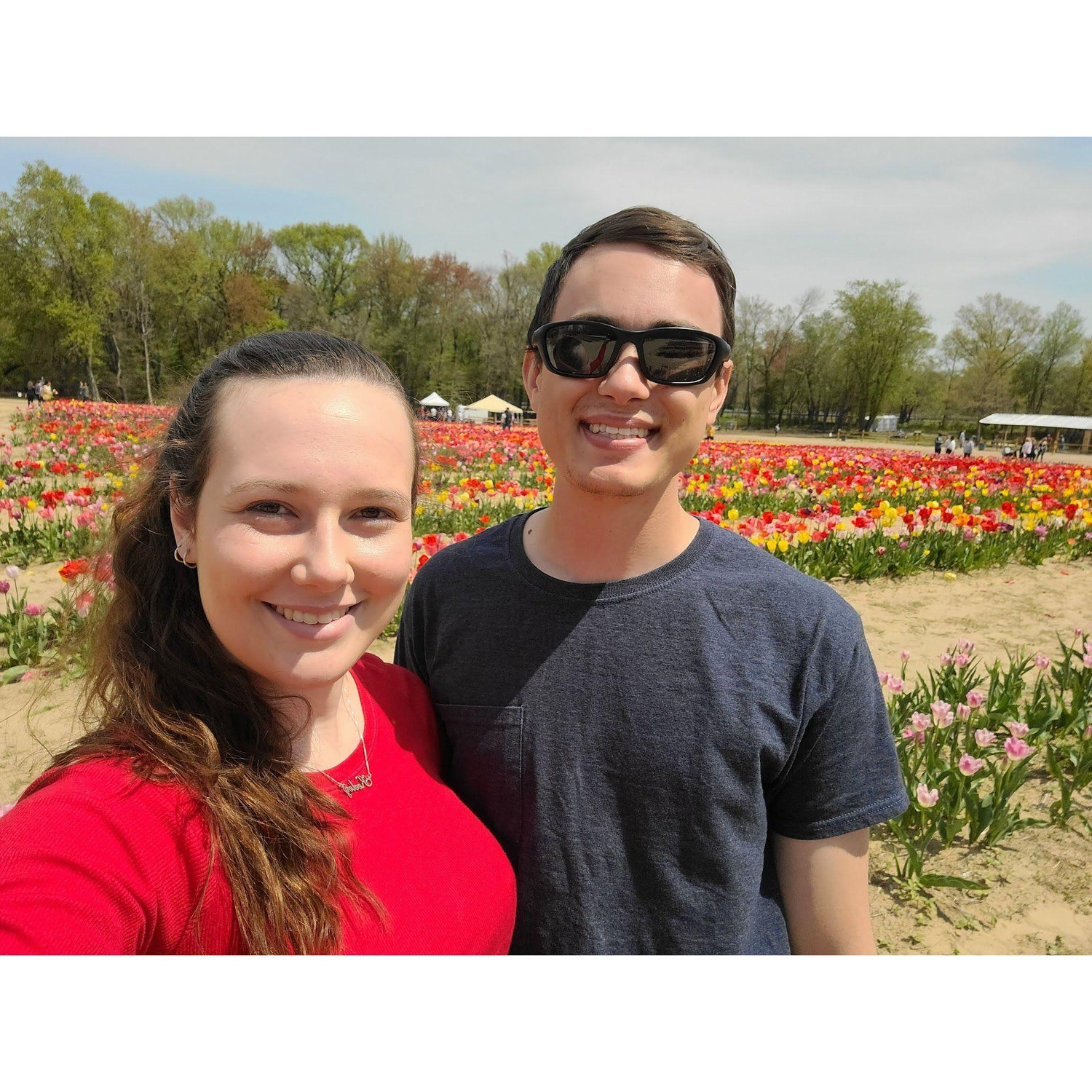 Tulip Picking - Dalton Farms