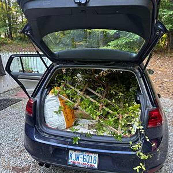 Garden Escape
